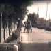 Siamo nellestate del 1959, a Bari: un video in bianco e nero inquadra una strada solcata da un carretto trainato da un cavallo. E' via Amendola